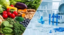 Thực Phẩm Chức Năng Tự Nhiên vs Tổng Hợp: Loại Nào Tốt Hơn?